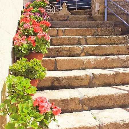 Teresa Caeiro Oia