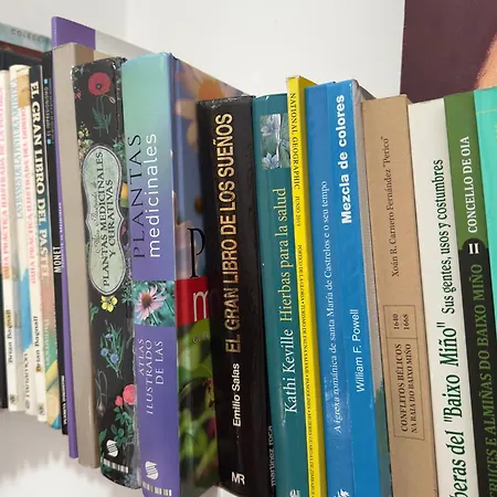 Teresa Caeiro أويا