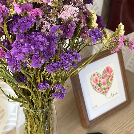 Hébergement de vacances Teresa Caeiro